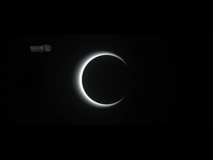 AC100-240V Speed Gate Turnstile Office Building Optical Speed Barrier Gate